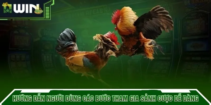 Hướng dẫn người dùng các bước tham gia sảnh cược dễ dàng